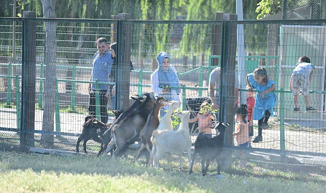 Hayvanat Bahçesi'nin Misafirlerine Bayramda Ziyaretçi Akını
