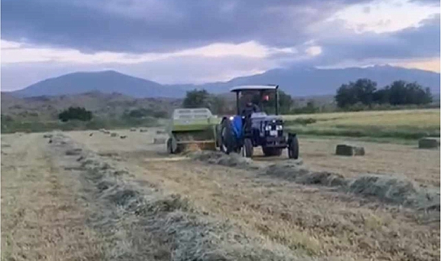 Iğdır'da  yonca hasadı devam ediyor