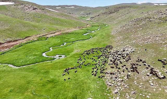 Iğdır'ın en büyük yaylası olan Sinek Yaylası görsel şölen sunuyor