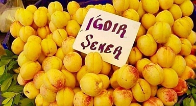 Iğdır Kayısısı tezgâhlarda yerini almaya başladı