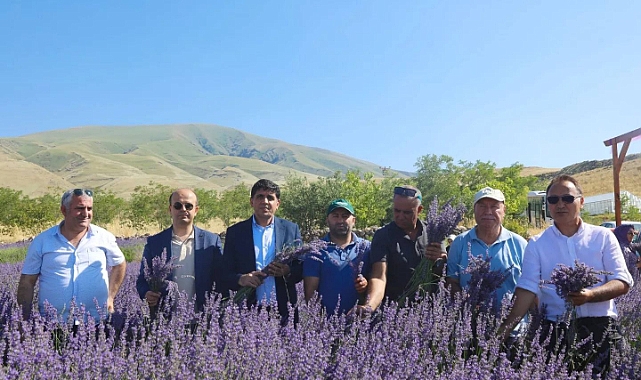 Iğdır Üniversitesinde Geleneksel Lavanta Şenliği