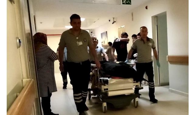 Ihlamur ağacından düşen adam hayatını kaybetti