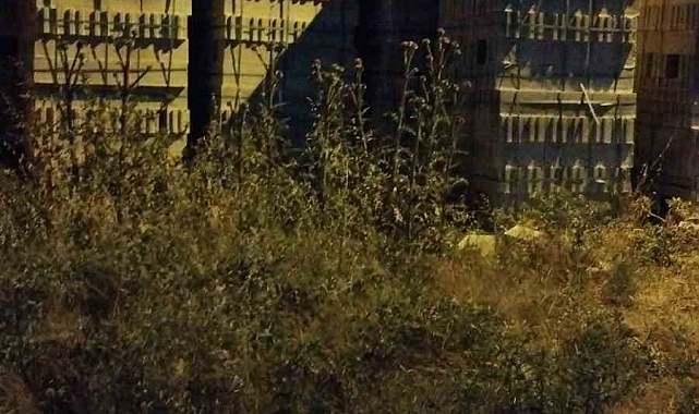 İlk okul öğrencisi çocuk, Briketlerin üzerinden düştü