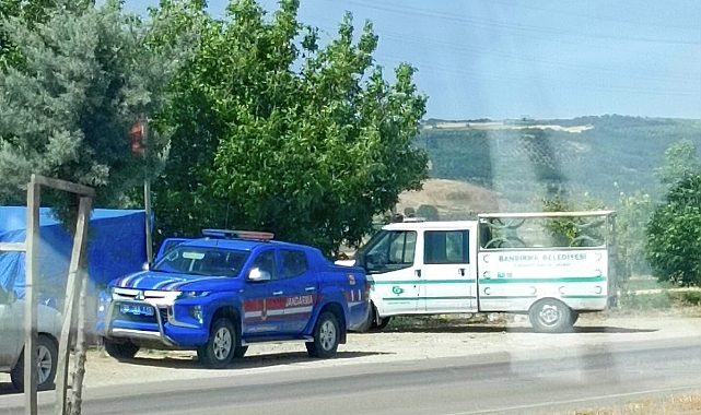 Jandarma ekipleri bir ağacın kenarında erkek cesedi buldu