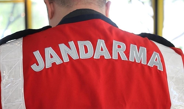 Jandarma, iki ayrı evi soyan hırsızı kıskıvrak yakaladı