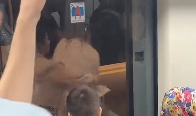 Kadınların kavgasında küfürler havada uçuştu