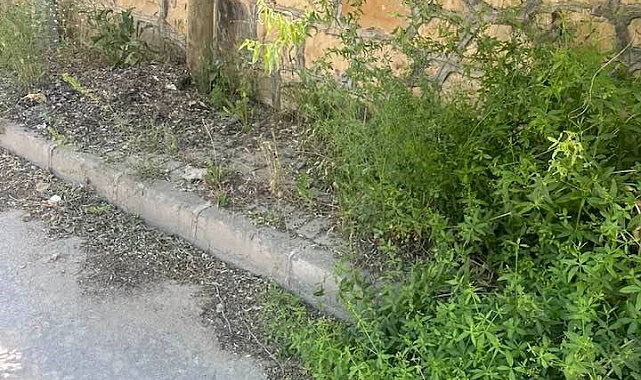 Kaldırımlar Bayburt Belediyesinin İnsafına Bırakıldı