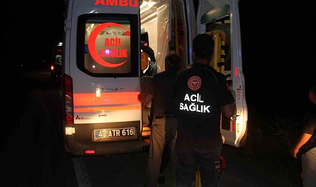 Kontrolden çıkan otomobil ekili sebze bahçesine girdi