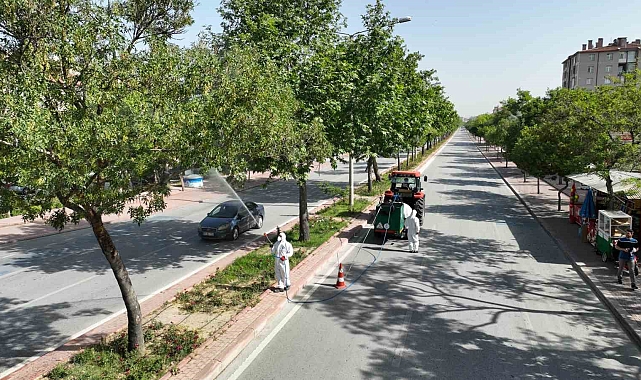 Konya'nın Selçuklu'da Haşere İle Mücadele Sürüyor