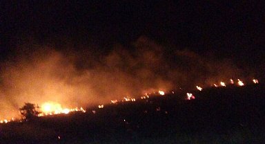 Malatya'da orman yangını