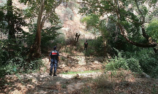 Mangal yakan 31 kişiye ceza yağdı