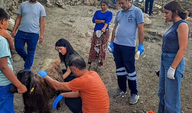 Mardin ve Diyarbakır'a veteriner ve itfaiye desteği