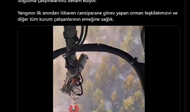 Ormanlık Alanda Etkili Olan Yangın Kontrol Altına Alındı