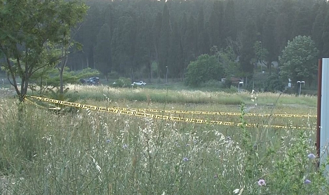 Piknik yaparken, ceset buldular