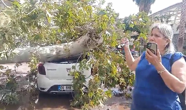 Sıcaklık 16 derece birden düştü, kum fırtınası çıktı, ağaçlar devrildi