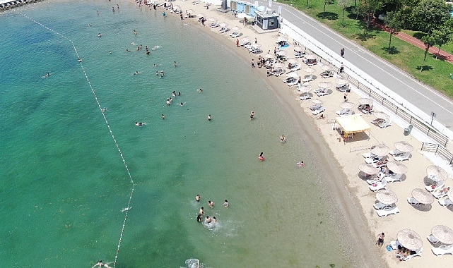 Sıcaktan bunalan denize koştu