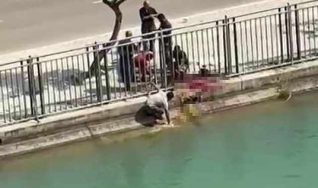 Sulama kanalının yanında koyun kesen ve dışkıyı suya döken kişi yakalandı