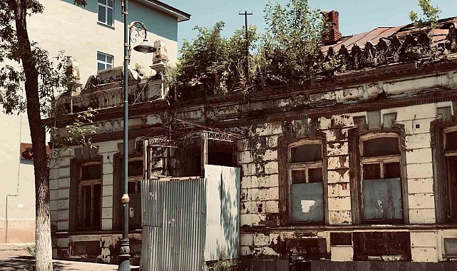 Tarihi binanın üzerinde ağaç yeşerdi