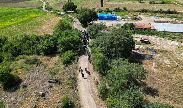 Tokat'ta Afrika Belgesellerini Andıran Görüntüler