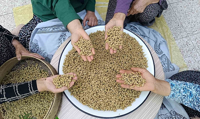 Tunceli'nin Köyünden Çıkıp Dünyaya İhraç Ediliyor