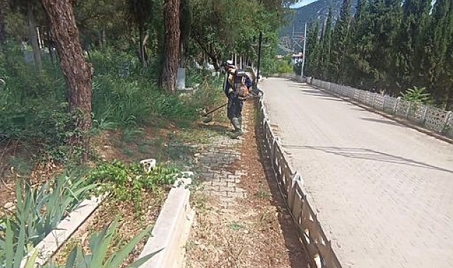 Yabani otlarla mücadele başladı
