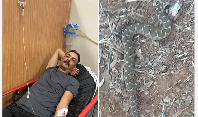 Yılanın Isırdığı Şahıs Hastaneye Kaldırıldı