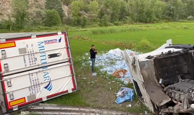 2 tır peş peşe yoldan çıkarak çeltik tarlasına devrildi