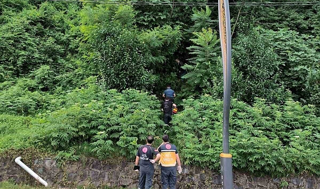 3 gündür aranan şahıs, ormanlık alanda ölü bulundu