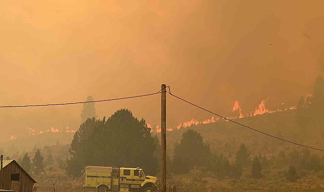 ABD'nin Oregon ve California eyaletinde orman yangınlarıyla müdahale sürüyor