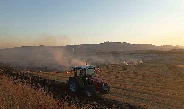 Ağrı'da çıkan yangında 5 dönümlük tarla küle döndü