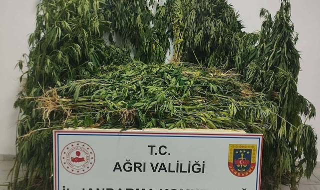 Ağrı'da düzenlenen iki ayrı operasyonda kaçak mal ve uyuşturucu ele geçirildi