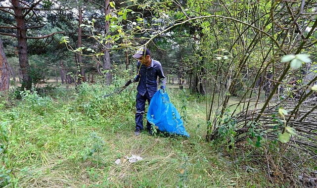 Akdağmadeni'nde Ormanlık Alanlar Temizleniyor