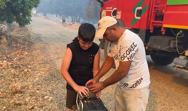 Antalya'nın Serik ilçesinde çıkan orman yangınında kirpiyi yanmaktan kurtardılar