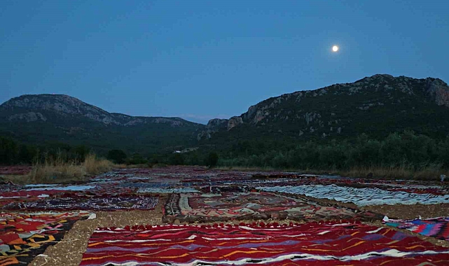 Arazi sahipleri, Tarlada milyonluk halı nöbeti tutuyor