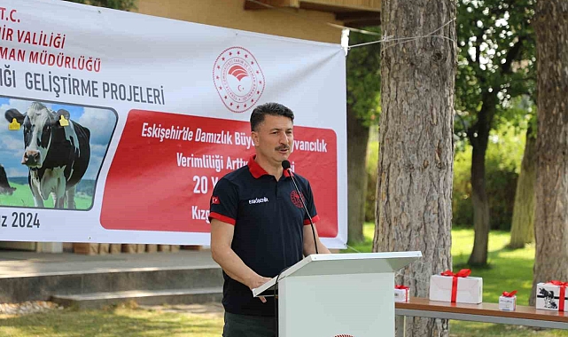 Ari işletme sayısı artıyor