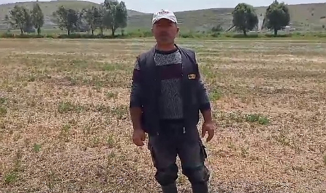 Ayılar çiftçilerin kabusu oldu