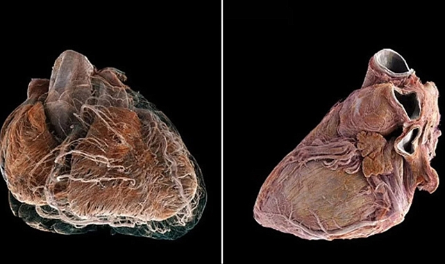 Bilim insanları, Google Earth'e benzer yeni bir teknoloji geliştirdi