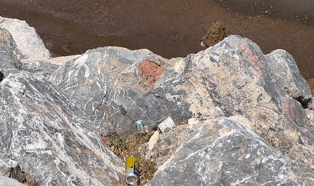 Bitlis'in Tatvan ilçe sahilinde, gölden yaklaşık 20 ton çöp çıkarıldı