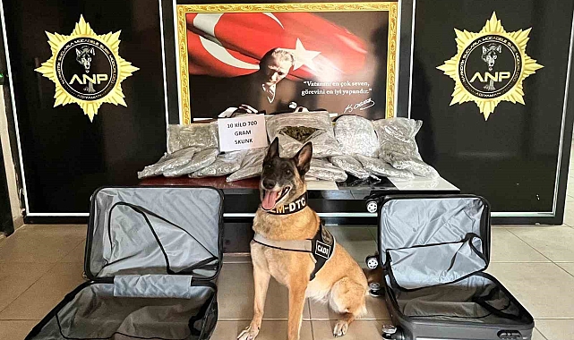 Durdurulan bir öğrenci servis aracında uyuşturucu ele geçirildi