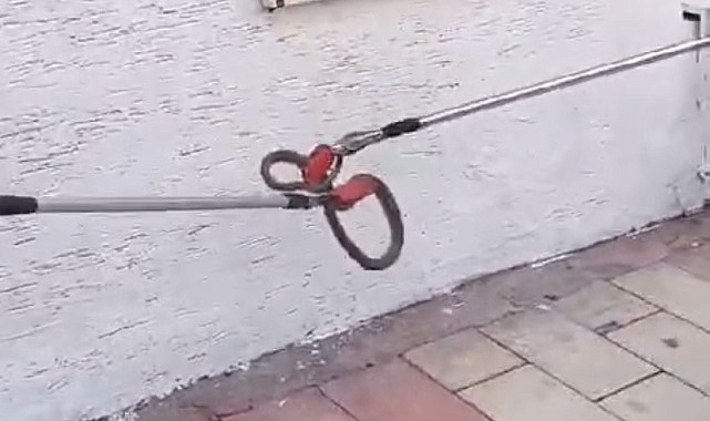 Elazığ'da paniğe sebep olan yılanı itfaiye ekipleri yakaladı