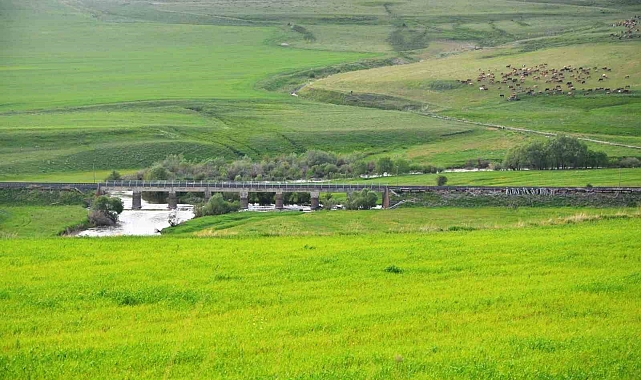 Erzurum, Türkiye'nin en büyük çayır-mera alanlarını içinde barındırıyor