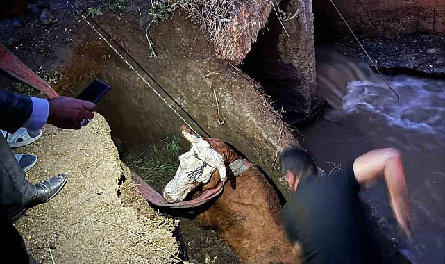 Erzurum'da 3 gündür etkili olan yağış sele dönüştü ve hayatı felç etti
