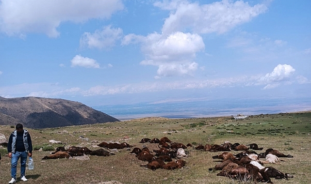Iğdır'da yıldırım düştü, Bir kişi yaralandı 70 koyun telef oldu!