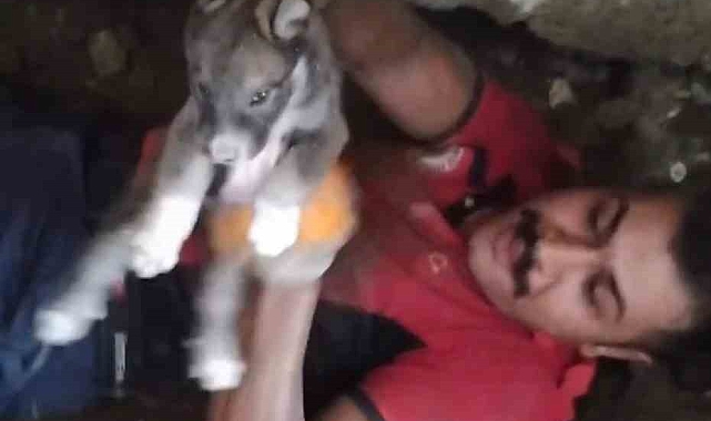 İtfaiye ekipleri sıkışan yavru köpeği kurtardı