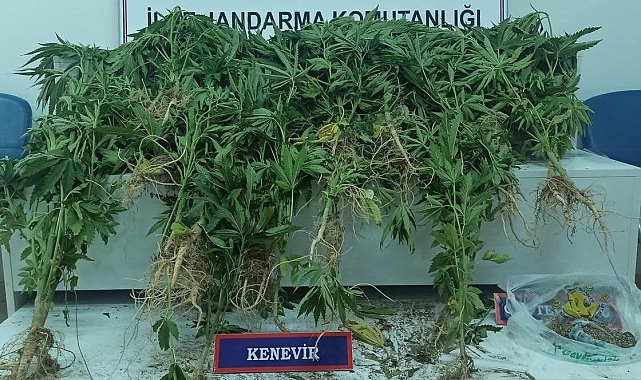 Jandarma ekiplerinin yapmış olduğu operasyonla uyuşturucu madde ele geçirildi