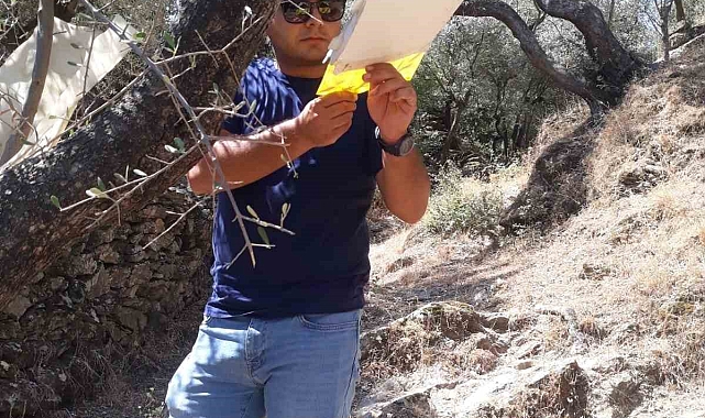 Kurulan sinek ve böcek tuzakları kontrol edildi
