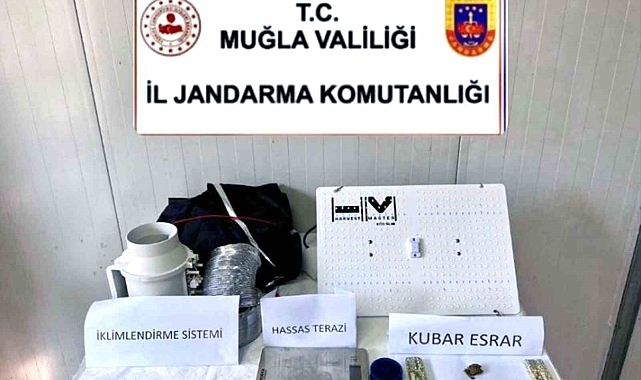 Muğla'da kenevir operasyonu