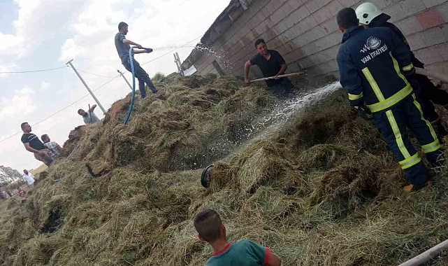 Özalp'te bin bağ ot yandı