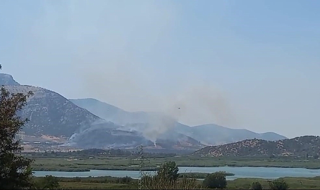 Selçuk'taki orman yangını kontrol altında