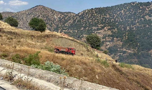 Siirt'te çıkan orman yangını kontrol altına alındı